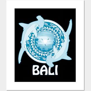 Hammerhead Shark Bali Indonesia Posters and Art